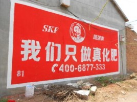 环江刷墙广告”蕴含了时代命题