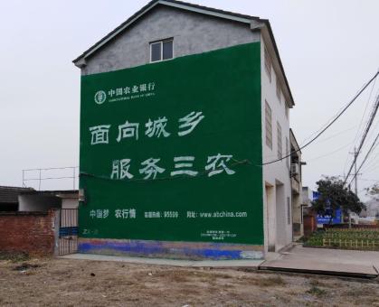 环江为什么制作墙体广告