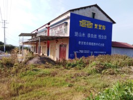 环江必须知道的墙体广告形势