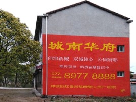 环江百分之90的人都不了解的农村墙体广告