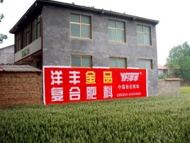 环江如何让墙体广告展现最大化效果