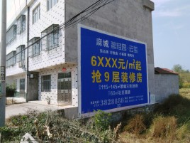 环江墙体广告质量分析