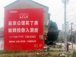 环江墙体广告在乡镇、农村市场的媒体优势