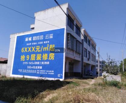 如何策划环江墙体广告的投放？