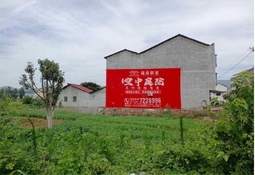 环江做墙体广告的意义