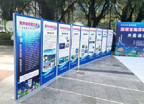 环江KT板的种类和知识。